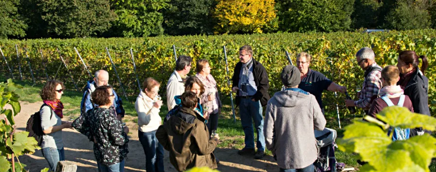Weinprobe bei den Bergsträßer Winzern