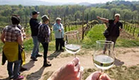 Weinprobe für Gruppen an der Hessischen Bergstraße