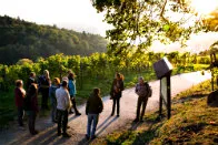 Weinprobe mit Wanderung durch die Weinberge